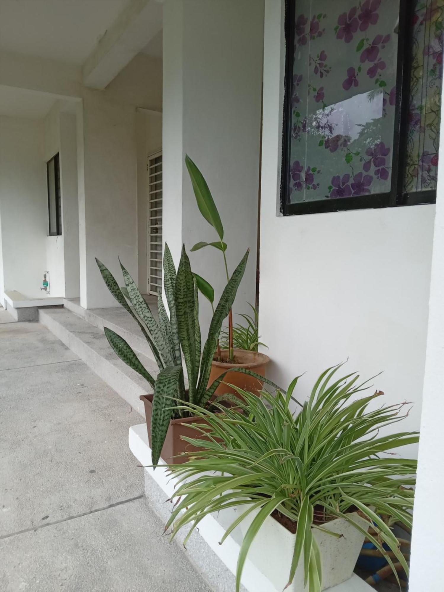 Apartment Pd Corus Sunset Seaview Private Deluxe *